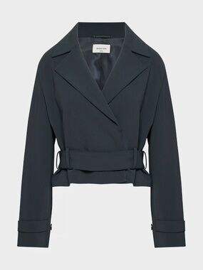 NWT Babaton Aritzia Postage Trench Coat - L